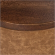 Pemberly Row Mango Wood Top Leather Wrap Accent End Table in Tan