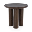 Pemberly Row Transitional Mango Wood End Table in Brown Finish
