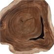 Pemberly Row Transitional Live Edge Coffee Table Natural in Natural