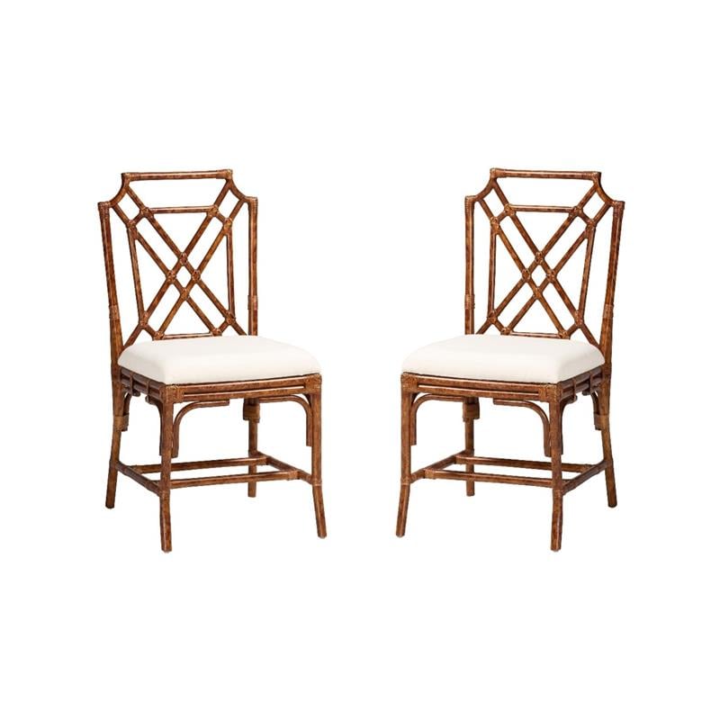 Pemberly Row Set of 2 Marbled Tortoise Natural Rattan Dining Chairs