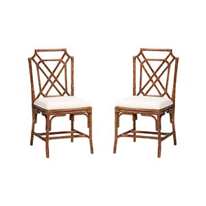 Pemberly Row Set of 2 Marbled Tortoise Natural Rattan Dining Chairs