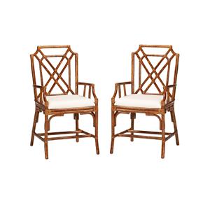 Pemberly Row Set of 2 Marbled Tortoise Natural Rattan Dining Chairs