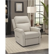 Pemberly Row Fabric Power Lift Recliner with 2 Zone Heat in Rainer Dove
