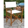 Pemberly Row Contemporary Wood Patio Chairs in Natural (Set of 2 )