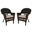 Pemberly Row Wicker Chair in Espresso with Tan Cushion (Set of 2)