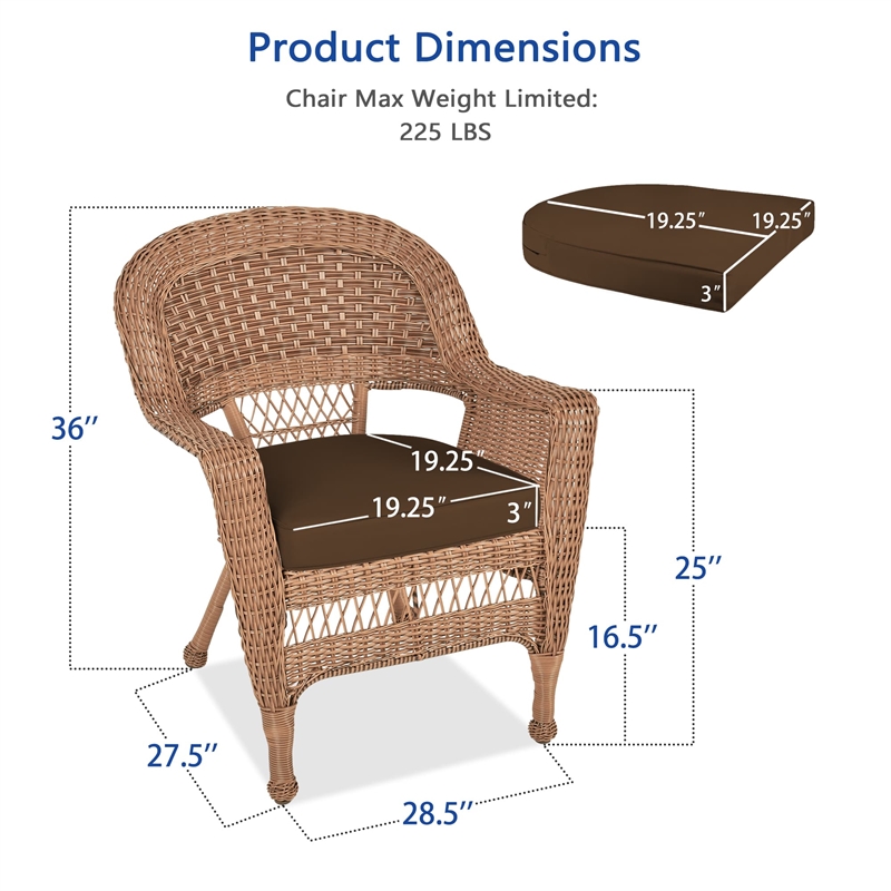 Pemberly Row Wicker Chair in Honey with Brown Cushion (Set of 2)