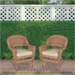 Pemberly Row Wicker Chair in White with Tan Cushion (Set of 2)