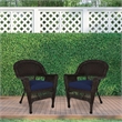 Pemberly Row Wicker Chair in White with Blue Cushion (Set of 2)