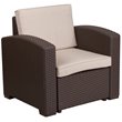 Pemberly Row Wicker Patio Chair in Chocolate Brown and Beige