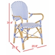 Pemberly Row Rattan Indoor/Outdoor Arm Chairs in Blue and White (Set of 2)