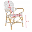 Pemberly Row Rattan Indoor/Outdoor Arm Chairs in Gray and White (Set of 2)
