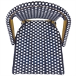 Pemberly Row Rattan Indoor/Outdoor Side Chairs in Navy/White (Set of 2)