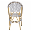 Pemberly Row Rattan Indoor/Outdoor Side Chairs in Gray/White (Set of 2)