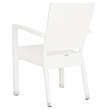 Pemberly Row Wicker / Rattan Outdoor Arm Chairs in White (Set of 2)