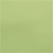 Pemberly Row 2-Piece Retro Outdoor Chair Set in Key Lime Gloss