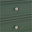 Pemberly Row Contemporary Vintage Green Wood 2-Drawer Nightstand