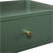 Pemberly Row Vintage Green Wood 1-Drawer Nightstand with Floating Top