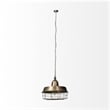 Pemberly Row Farmhouse 14x 14.5 Gold Toned Metal Cage Pendant Light