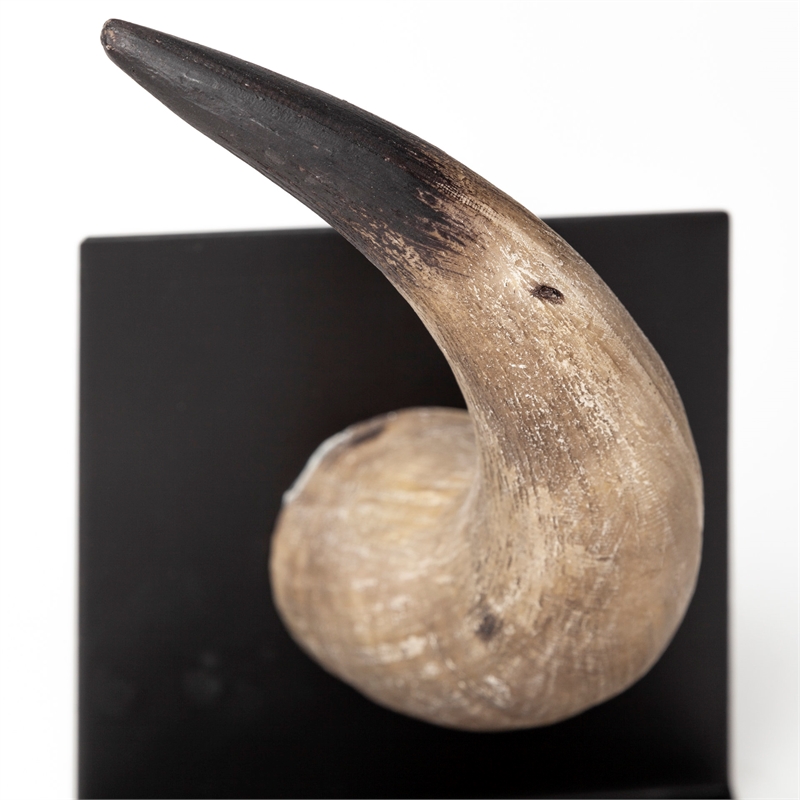 Pemberly Row Modern Farmhouse Brown Tones Resin Bull Horn Bookend