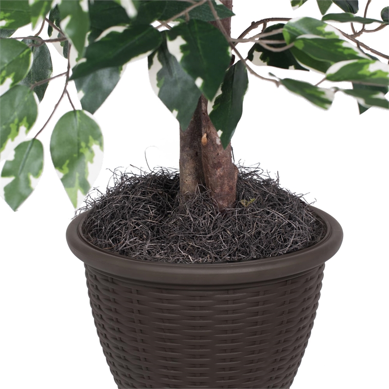 Pemberly Row 4' Artificial Variegated Ficus Bush w/ Rattan Basket in Green/White