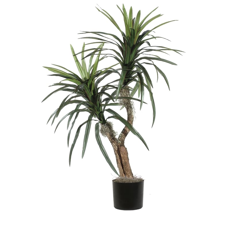 Pemberly Row 4' Artificial Marginata Bush with Black Plastic Pot in Dark Green