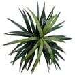 Pemberly Row 4' Artificial Marginata Bush with Black Plastic Pot in Dark Green