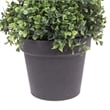 Pemberly Row 6' Plastic Artificial Potted Boxwood Spiral Tree in Green
