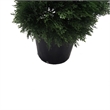 Pemberly Row 5' Plastic Artificial Potted Cedar Spiral Tree in Green