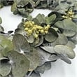 Pemberly Row Dried Preserved Valentines Day Real Green Eucalyptus Heart Wreath