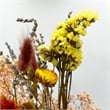 Pemberly Row 10-inch High Real Preserved Mixed Bouquets in Small Size