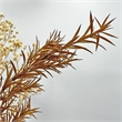 Pemberly Row 10-inch High Real Preserved Mixed Bouquets in Small Size
