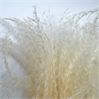 Pemberly Row 10-inch High Real Preserved Mixed Bouquets in Small Size