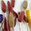 Pemberly Row 10-inch High Real Preserved Mixed Bouquets in Small Size