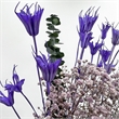 Pemberly Row 10-inch High Real Preserved Mixed Bouquets in Small Size