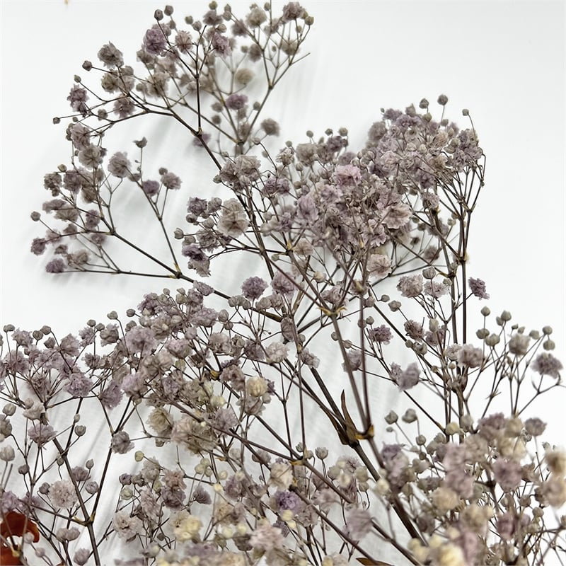 Pemberly Row 10-inch High Real Preserved Mixed Bouquets in Small Size