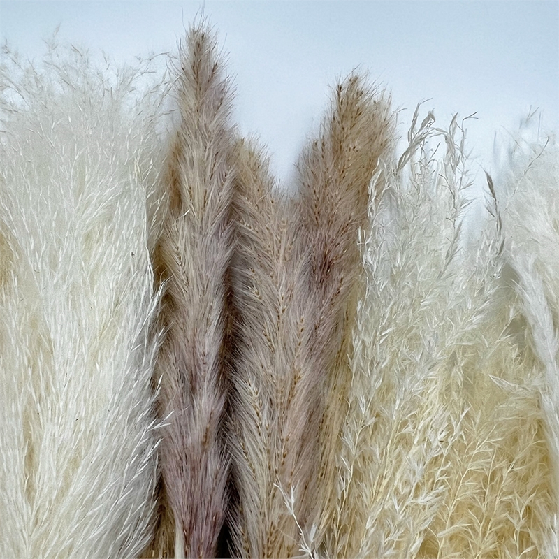 Pemberly Row 10-inch High Real Preserved Mixed Bouquets in Small Size
