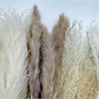 Pemberly Row 10-inch High Real Preserved Mixed Bouquets in Small Size