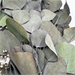 Pemberly Row 14-inch High Real Preserved Mixed Bouquets in Medium Size