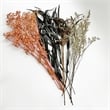 Pemberly Row 14-inch High Real Preserved Mixed Bouquets in Medium Size