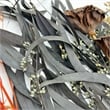 Pemberly Row 14-inch High Real Preserved Mixed Bouquets in Medium Size