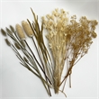Pemberly Row 14-inch High Real Preserved Mixed Bouquets in Medium Size
