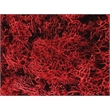 Pemberly Row Traditional 200g Preserved Reindeer Moss in Red