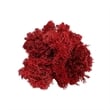 Pemberly Row Traditional Decorative 95g Preserved Reindeer Moss in Red