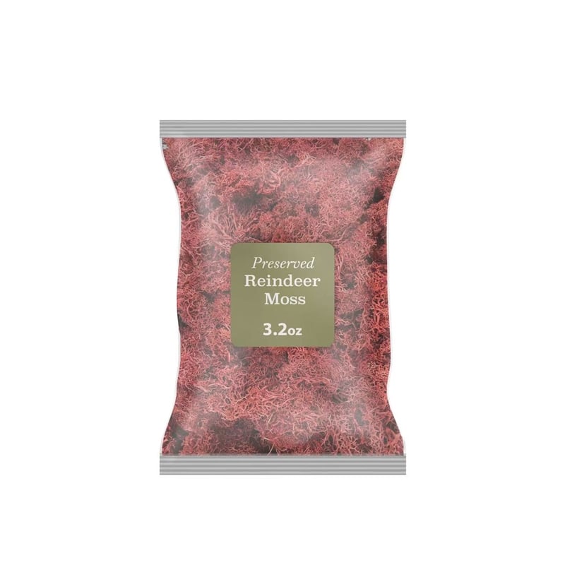 Pemberly Row Traditional Decorative 95g Preserved Reindeer Moss in Red