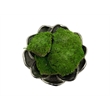 Pemberly Row Preserved Pole Bun Pillow Cushion Moss in Emerald Green