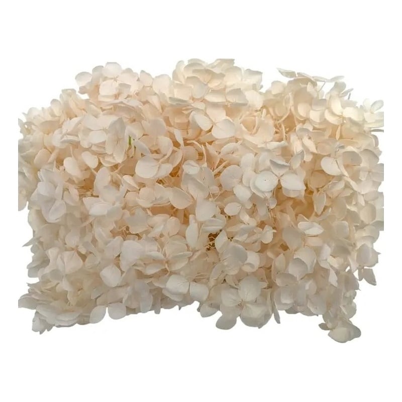 Pemberly Row Traditional Decorative Preserved Hydrangea Box in Pink