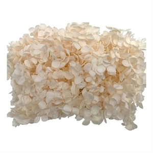 Pemberly Row Traditional Decorative Preserved Hydrangea Box in Pink
