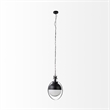Pemberly Row 15X20 Black Metal Spherical Pendant Light in Clear