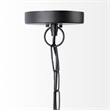 Pemberly Row 15X20 Black Metal Spherical Pendant Light in Clear