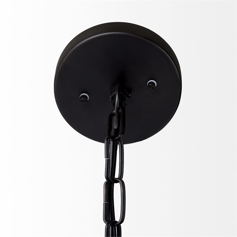 Pemberly Row 15X20 Black Metal Spherical Pendant Light in Clear